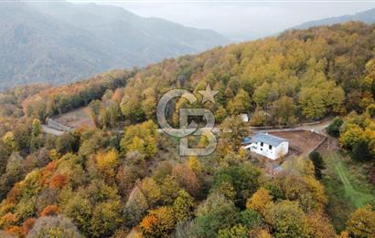 CB Envoy'dan Selimiye Mah. Dağın Eteklerinde Müstakil Dubleks