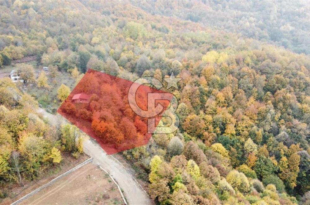 CB Envoy'dan Selimiye Mah. Dağın Eteklerinde Müstakil Dubleks