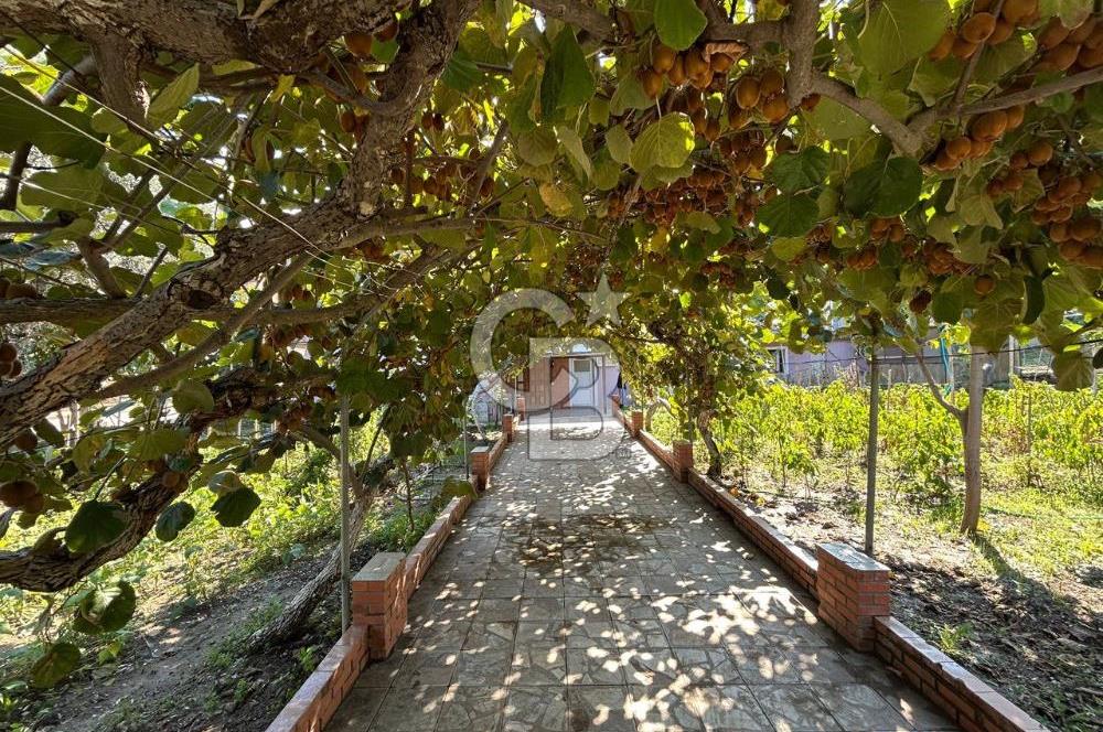 CB Envoy'dan Altınova Cumhuriyet mah. 3 Adet Daireli 985 m2 Arsa