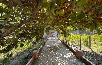 CB Envoy'dan Altınova Cumhuriyet mah. 3 Adet Daireli 985 m2 Arsa