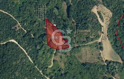 CB BLACK'TAN ORHANGAZİ HECELER'DE 148m2 SATILIK TARLA*