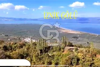 CB BLACK'TAN ORHANGAZİ HECELER'DE 129 m2 HİSSELİ TARLA - 3 - 319069