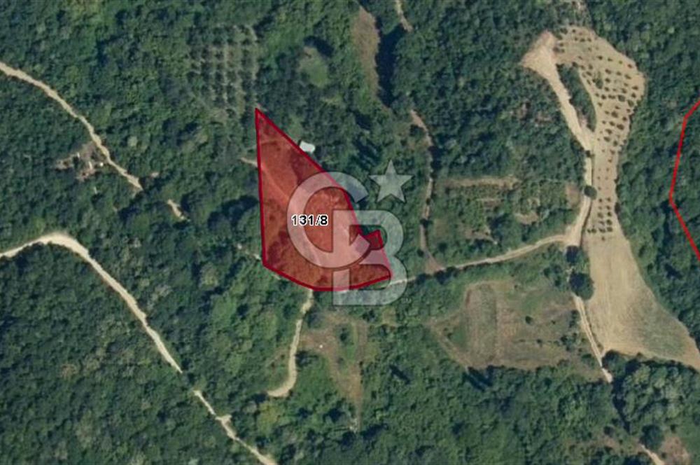 CB BLACK'TEN ORHANGAZİ HECELER'DE 55m2 HİSSELİ SATILIK TARLA