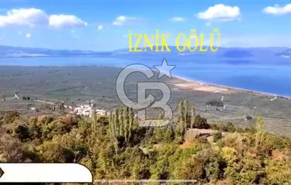 CB BLACK'TEN ORHANGAZİ HECELER'DE 55m2 HİSSELİ SATILIK TARLA