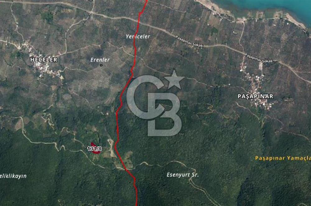 CB BLACK'TEN ORHANGAZİ HECELER'DE 55m2 HİSSELİ SATILIK TARLA