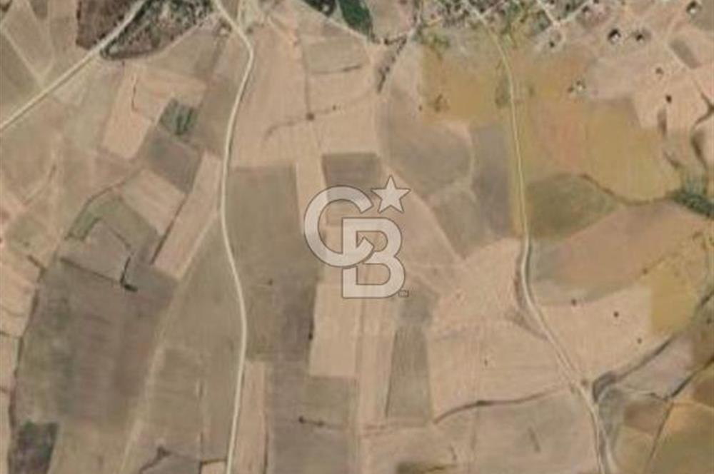 Gelibolu Bolayır'da İmarlı ve Müstakil Satılık Arsa