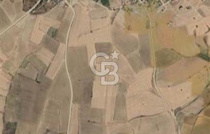 Gelibolu Bolayır'da İmarlı ve Müstakil Satılık Arsa