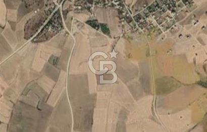 Gelibolu Bolayır'da İmarlı ve Müstakil Satılık Arsa
