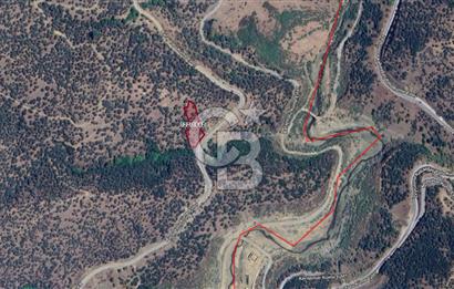 Bayındır Çenikler'de Fırsat Zeytinlik