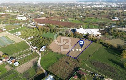 NİLÜFER TAHTALI'DA 3019 M² SATILIK ARAZİ