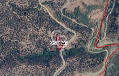 Bayındır Çenikler'de Fırsat Zeytinlik