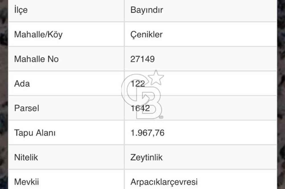 Bayındır Çenikler'de Fırsat Zeytinlik