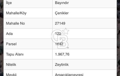 Bayındır Çenikler'de Fırsat Zeytinlik