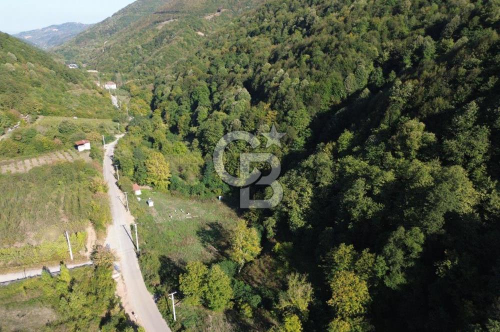 CB Envoy'dan Lütfiye mah. Satılık 2.632 m2 Tarla