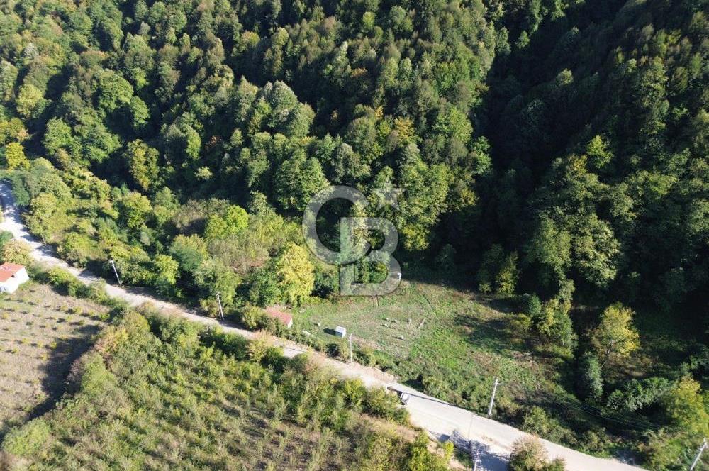 CB Envoy'dan Lütfiye mah. Satılık 2.632 m2 Tarla