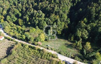 CB Envoy'dan Lütfiye mah. Satılık 2.632 m2 Tarla