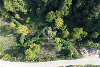 CB Envoy'dan Sofular mah. Satılık 1.354 m2 Tarla - 1 - 319087