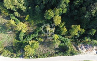 CB Envoy'dan Sofular mah. Satılık 1.354 m2 Tarla