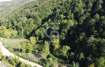 CB Envoy'dan Sofular mah. Satılık 1.354 m2 Tarla