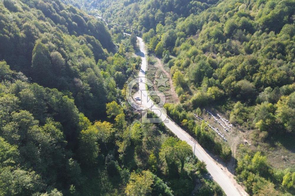 CB Envoy'dan Sofular mah. Satılık 1.354 m2 Tarla