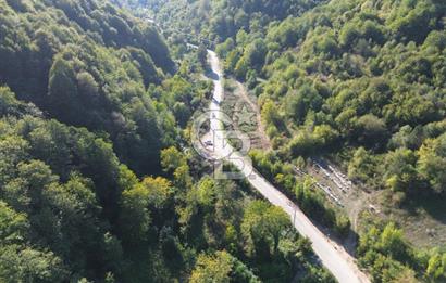 CB Envoy'dan Sofular mah. Satılık 1.354 m2 Tarla