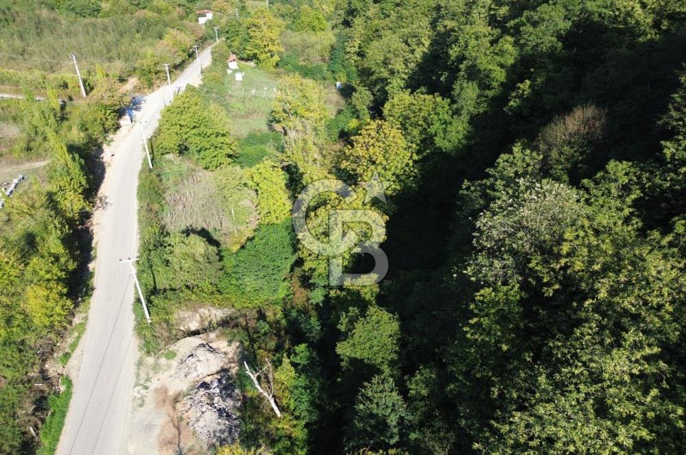 CB Envoy'dan Sofular mah. Satılık 1.354 m2 Tarla