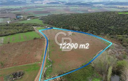 KARACABEY AKÇASUSURLUK SATILIK CEVİZ BAHÇESİ 