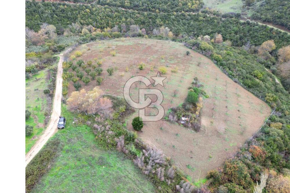 KARACABEY AKÇASUSURLUK SATILIK TARLA