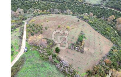 KARACABEY AKÇASUSURLUK SATILIK TARLA