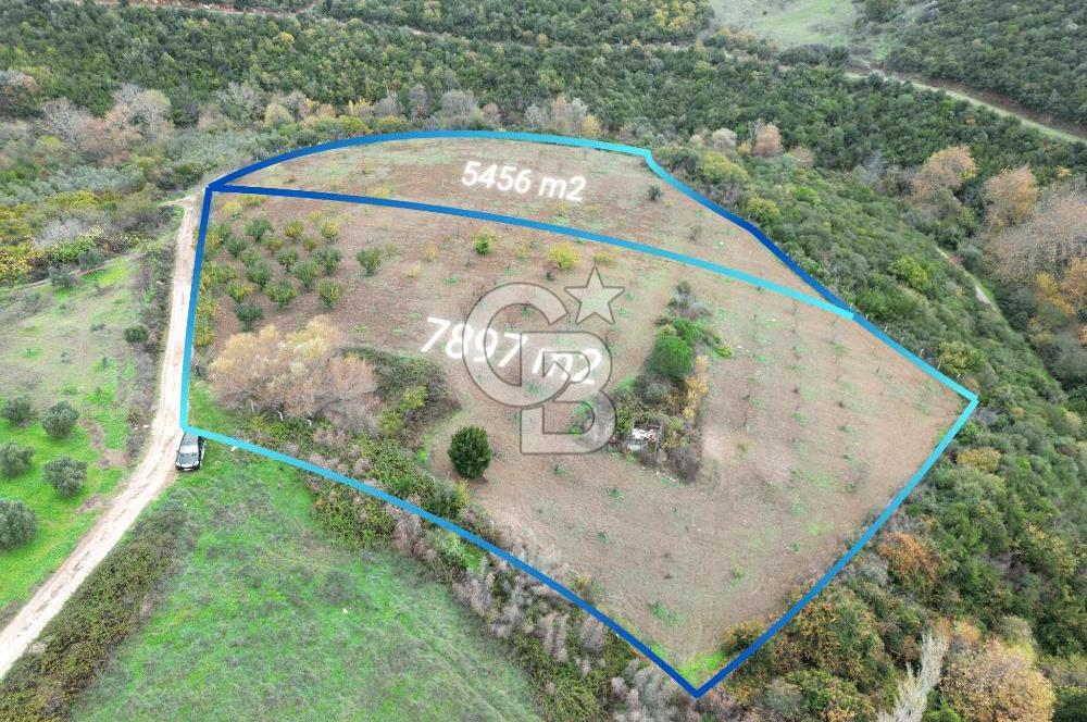 KARACABEY AKÇASUSURLUK SATILIK TARLA