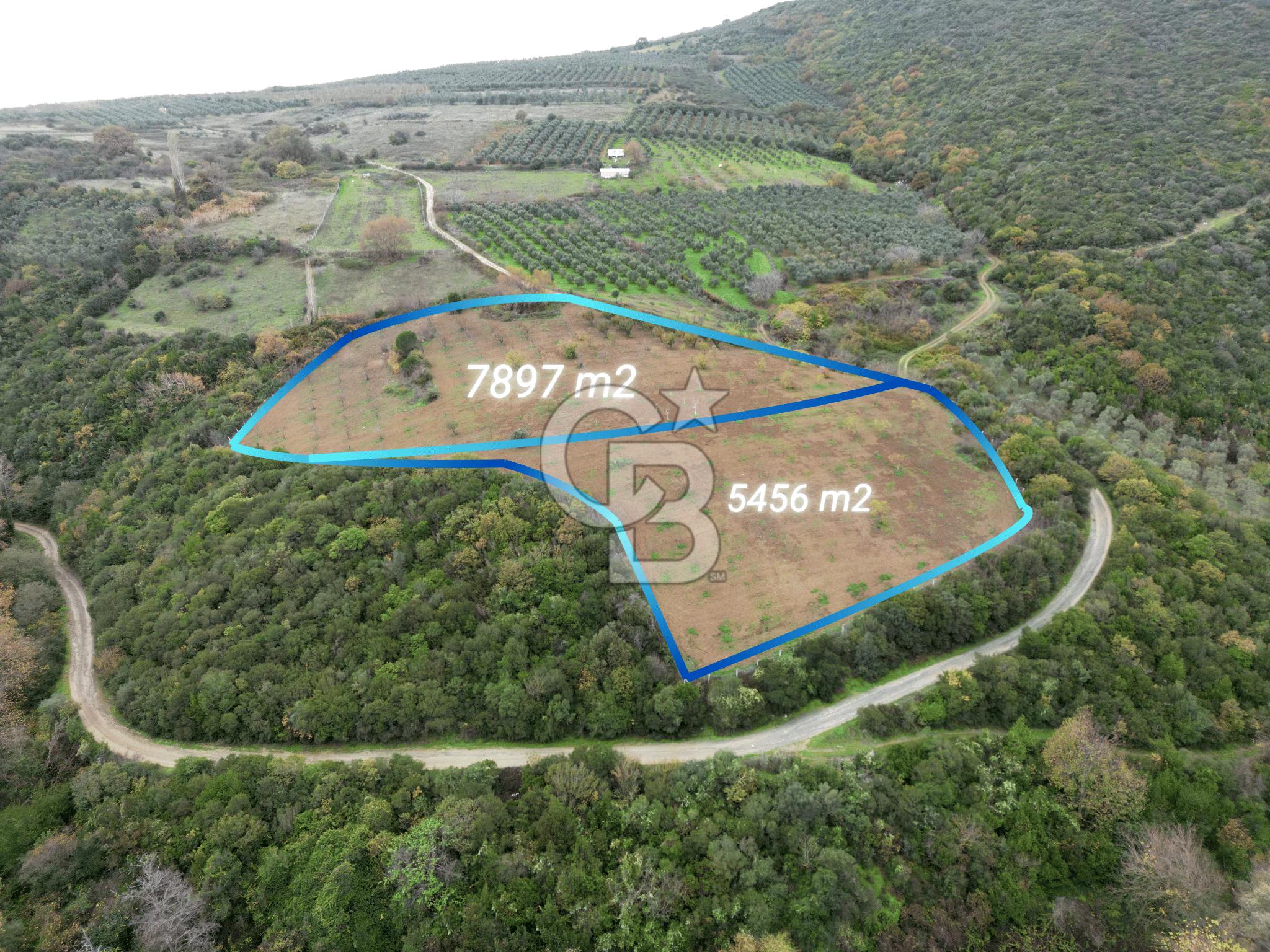 KARACABEY AKÇASUSURLUK SATILIK TARLA