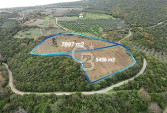 KARACABEY AKÇASUSURLUK SATILIK TARLA - 2 - 319084