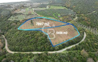 KARACABEY AKÇASUSURLUK SATILIK TARLA