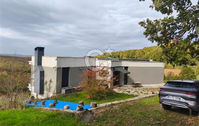 HATİPLER'DE 6 DÖNÜMDE 4+2 Yapı Kayıtlı Müstakil Villa