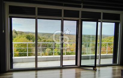 HATİPLER'DE 6 DÖNÜMDE 4+2 Yapı Kayıtlı Müstakil Villa