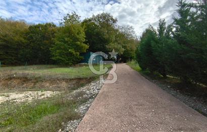 HATİPLER'DE 6 DÖNÜMDE 4+2 Yapı Kayıtlı Müstakil Villa