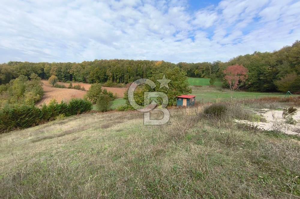 HATİPLER'DE 6 DÖNÜMDE 4+2 Yapı Kayıtlı Müstakil Villa