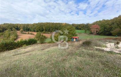 HATİPLER'DE 6 DÖNÜMDE 4+2 Yapı Kayıtlı Müstakil Villa