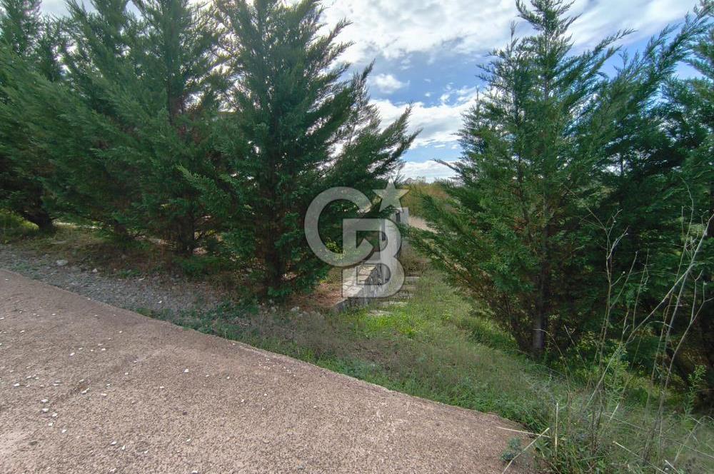 HATİPLER'DE 6 DÖNÜMDE 4+2 Yapı Kayıtlı Müstakil Villa