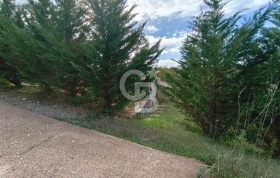 HATİPLER'DE 6 DÖNÜMDE 4+2 Yapı Kayıtlı Müstakil Villa