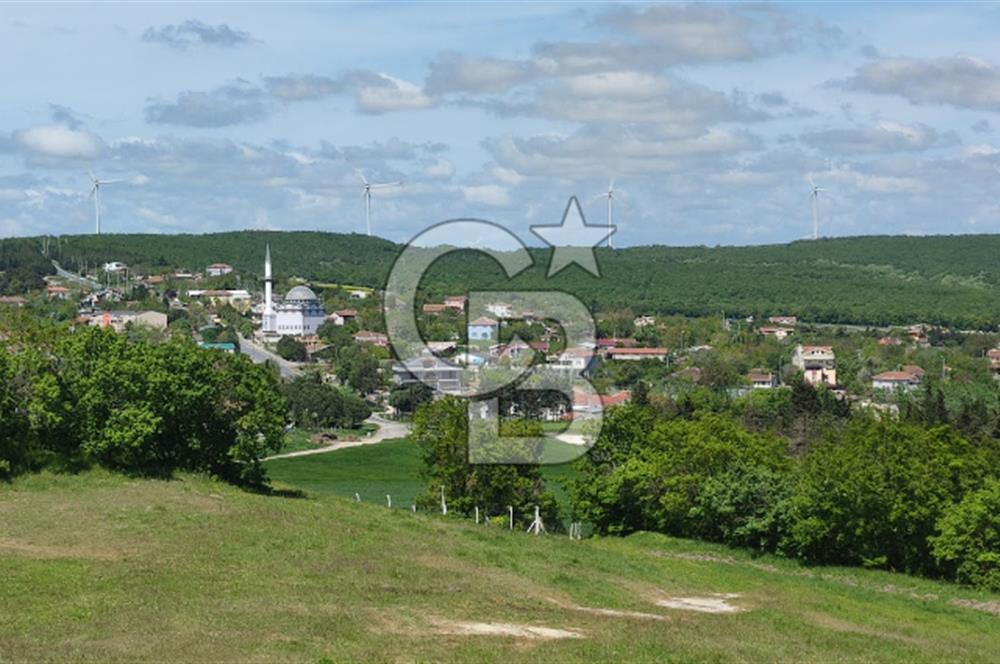 BÜYÜK SİNEKLİDE 9.459 m² YOLA CEPHELİ SATILIK ARSA