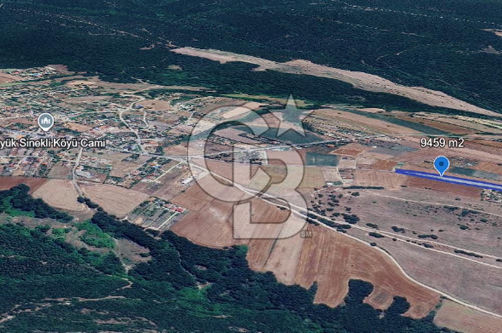 BÜYÜK SİNEKLİDE 9.459 m² YOLA CEPHELİ SATILIK ARSA