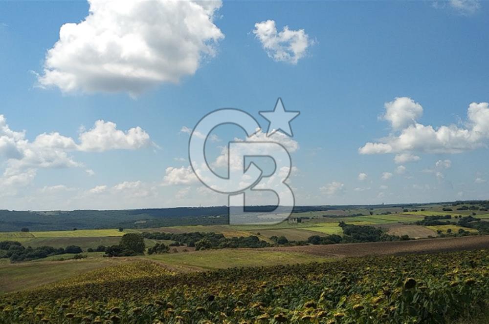 BÜYÜK SİNEKLİDE 9.459 m² YOLA CEPHELİ SATILIK ARSA