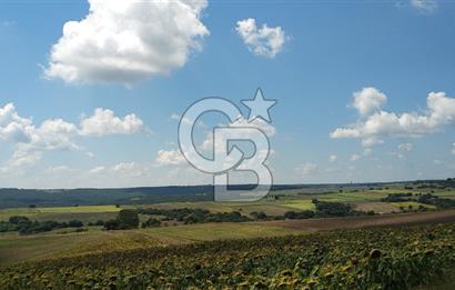 BÜYÜK SİNEKLİDE 9.459 m² YOLA CEPHELİ SATILIK ARSA