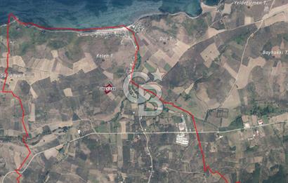 MUDANYA YALIÇİFTLİKTE 2121 M2 ZEYTİNLİK