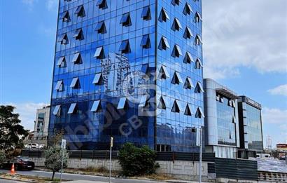 ŞERİFALİ'DE NAKLEN E-80 CEPHELİ 3040M2 PLAZA
