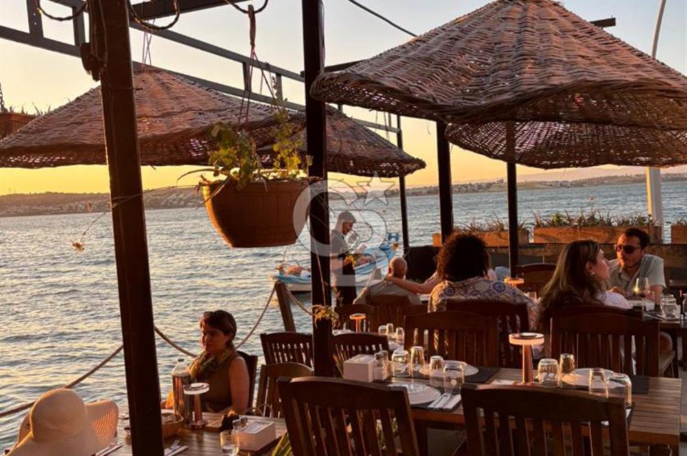 Ayvalık Devren Restoran - Devren Bar