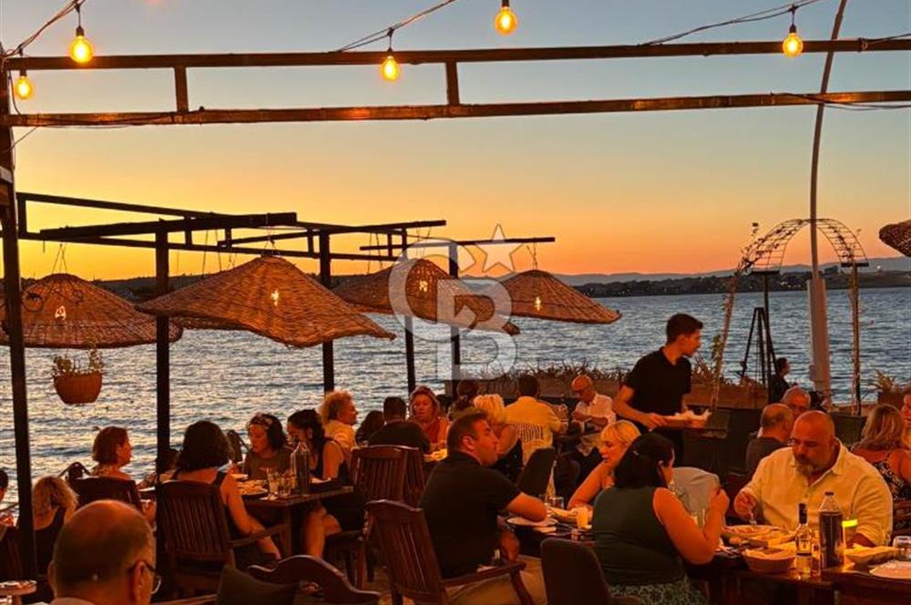 Ayvalık Devren Restoran - Devren Bar