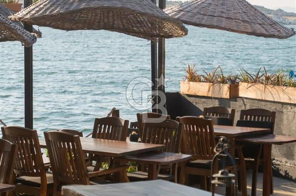 Ayvalık Devren Restoran - Devren Bar