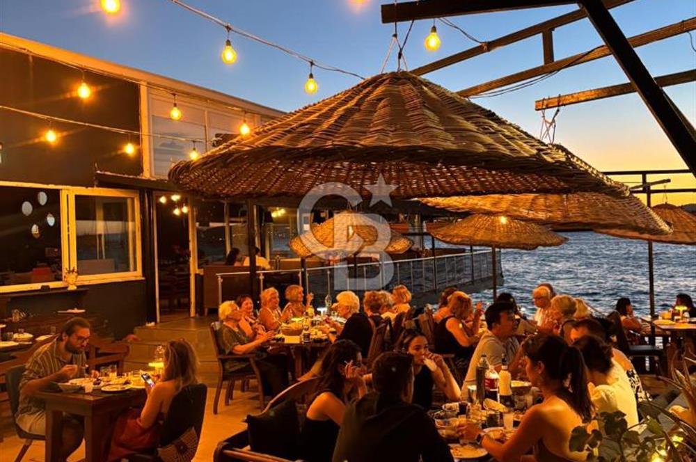 Ayvalık Devren Restoran - Devren Bar